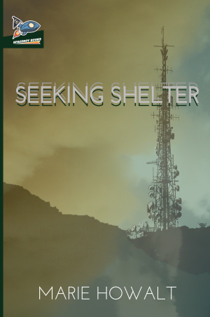 Seeking Shelter cover copy